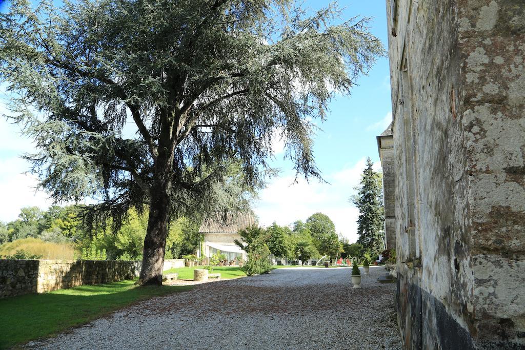 Chateau De Courtebotte Saint-Jean-de-Blaignac Exterior foto